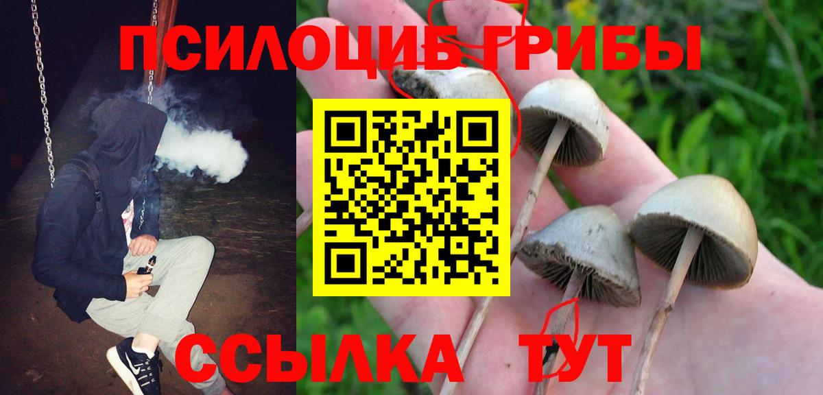 Галлюциногенные грибы прущие грибы  Вход с VPN  Топки 